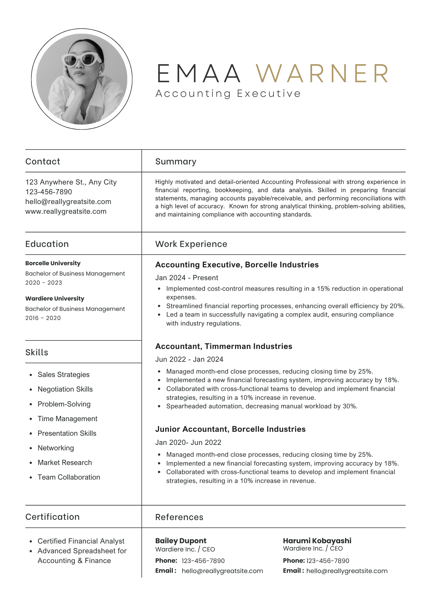 Accounting Executive resume template preview
